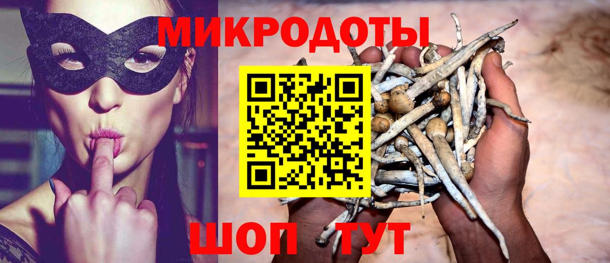 Галлюциногенные грибы Psilocybine cubensis Котельники